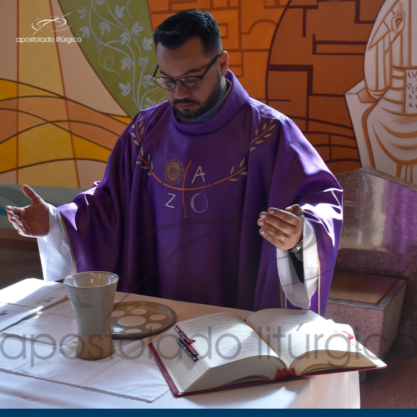 Casula Aurora da Redenção siena bordado ombro - Imagem 3